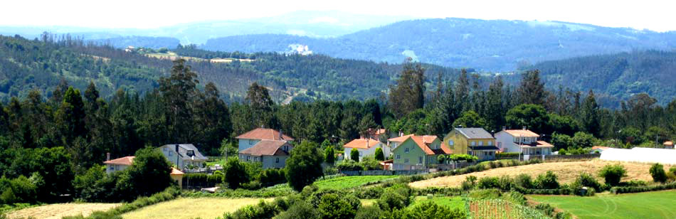 Enrique Nicolaas Camino de Santiago